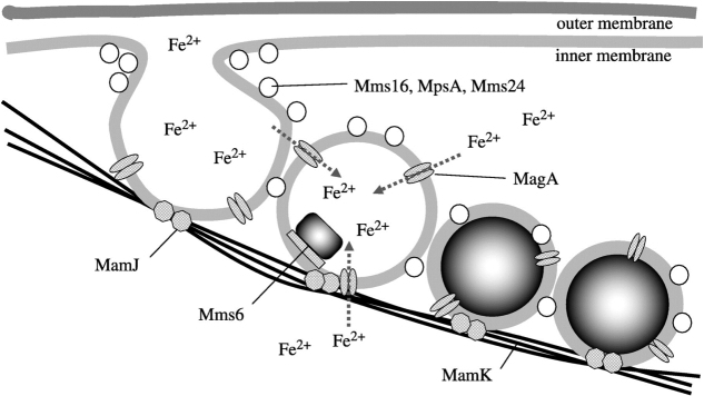 Figure 8