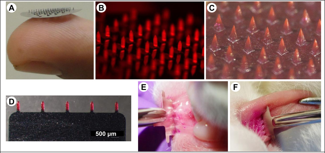 Figure 7