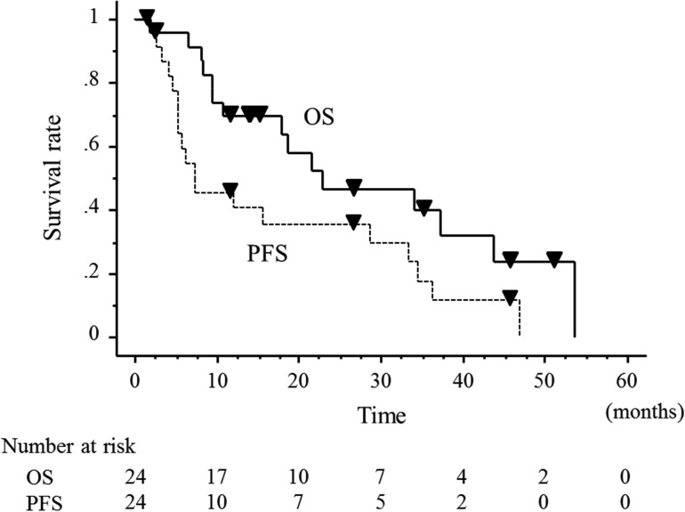 Fig. 3.