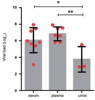 Fig. 1: