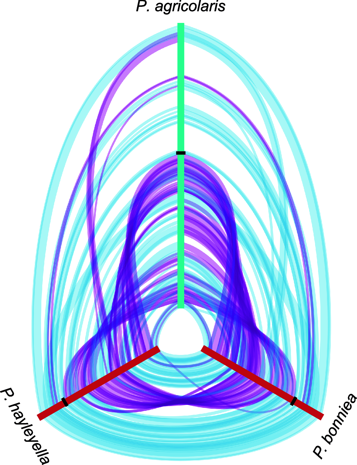 FIG 1