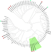 FIG 6