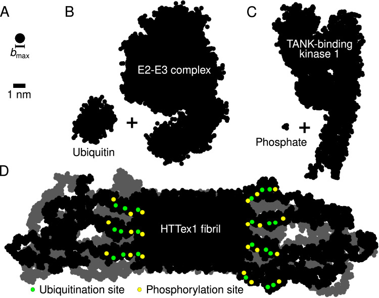 Fig. 8