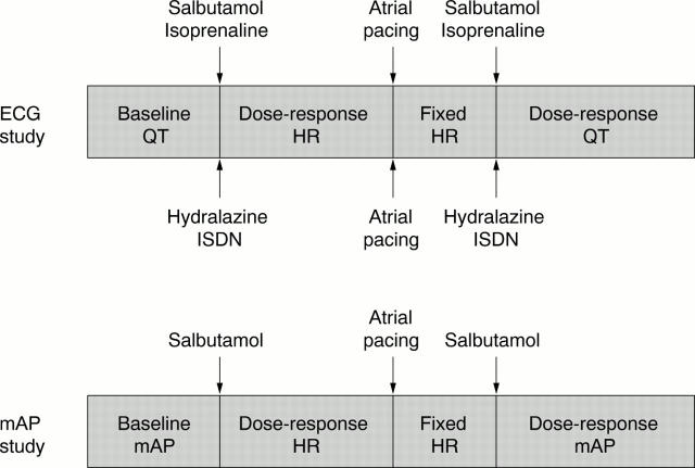 Figure 1  