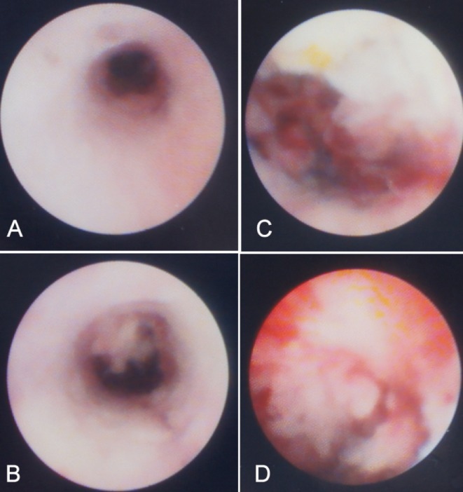 Figure 2)