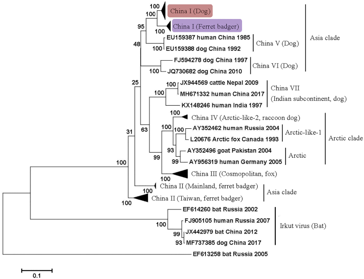 Fig. 3