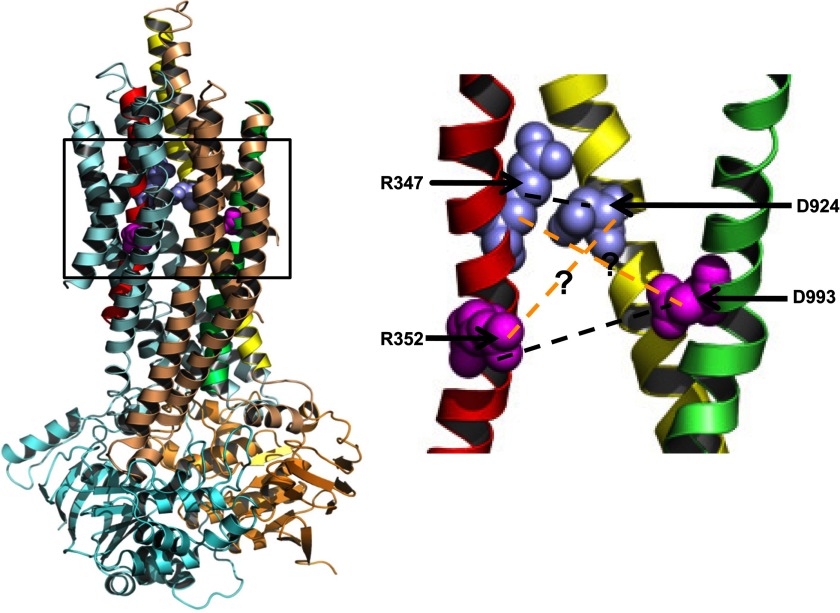 FIGURE 1.