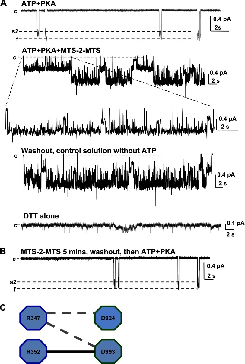 FIGURE 7.