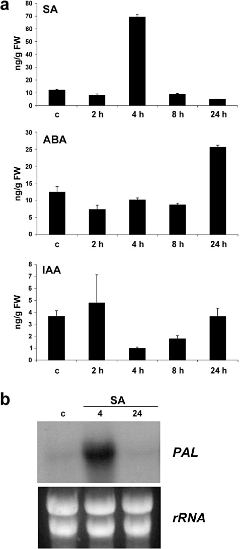 Figure 4