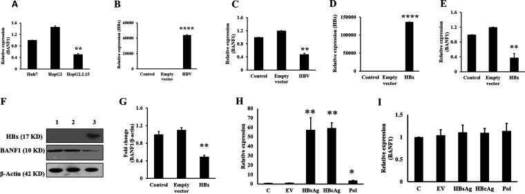 FIG 1