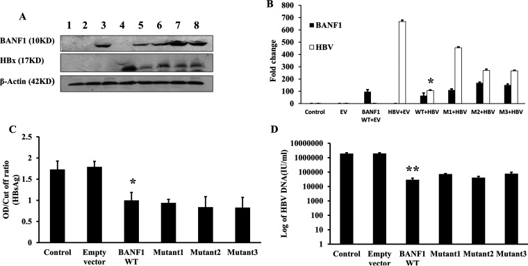 FIG 3