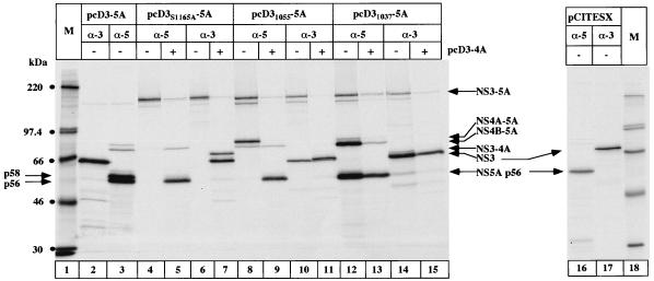 FIG. 6