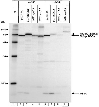 FIG. 7