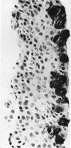 84