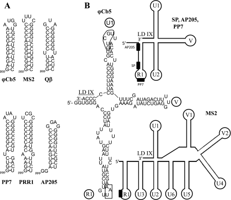 Fig. 4.