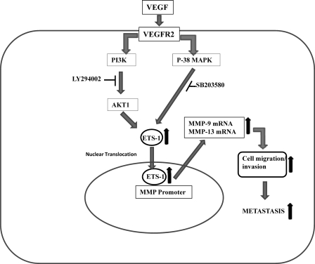 FIGURE 10.