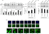 FIGURE 9.