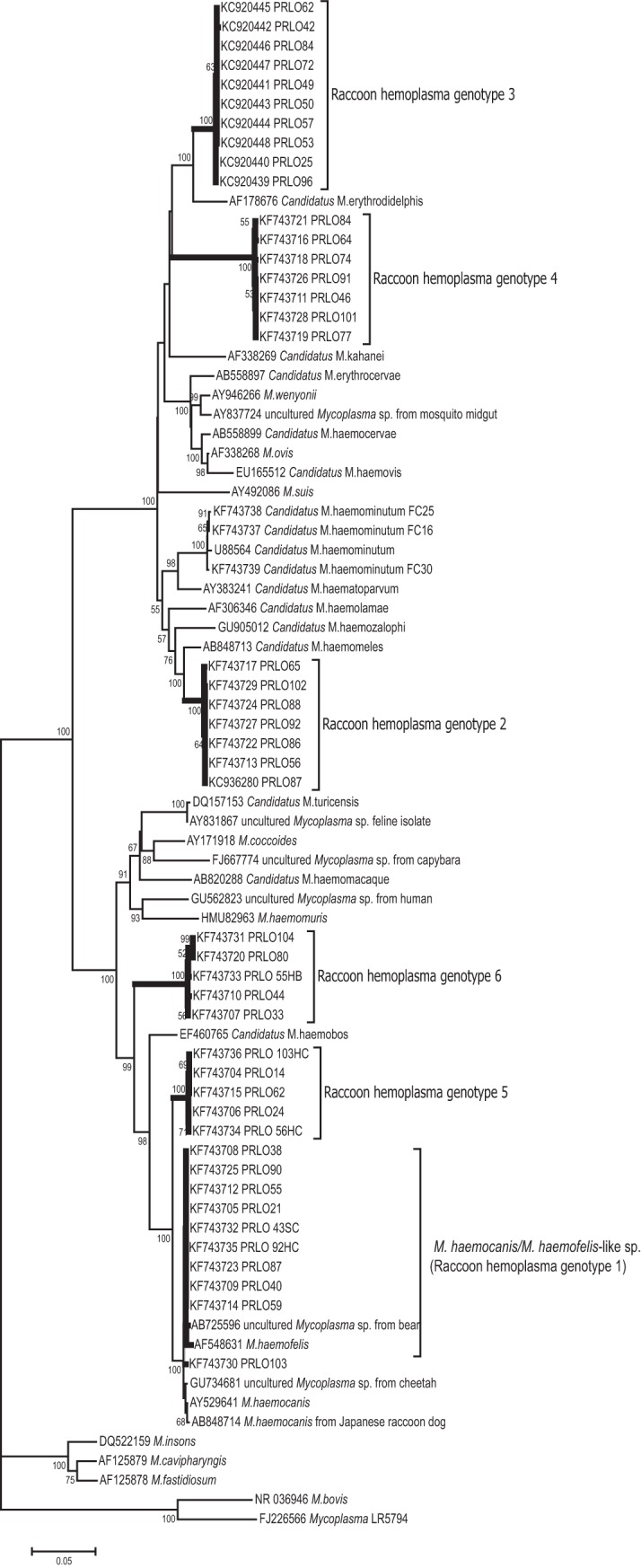 FIG 1