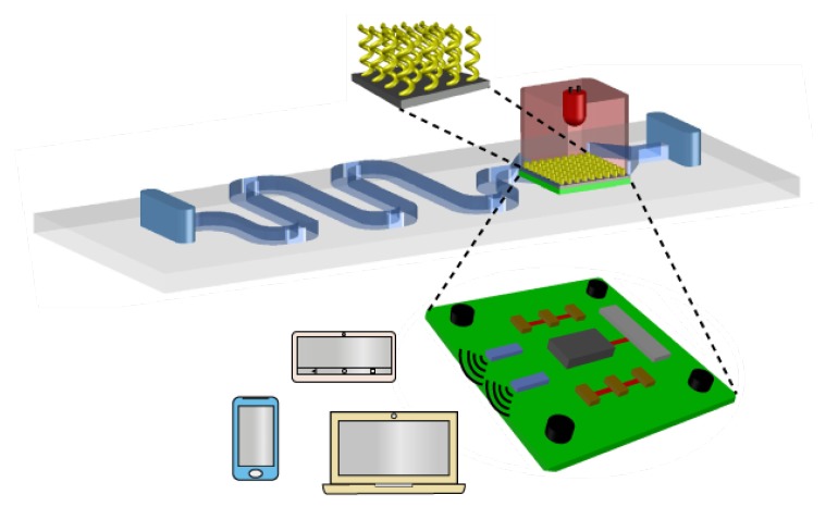 Figure 13