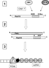 FIGURE 6: