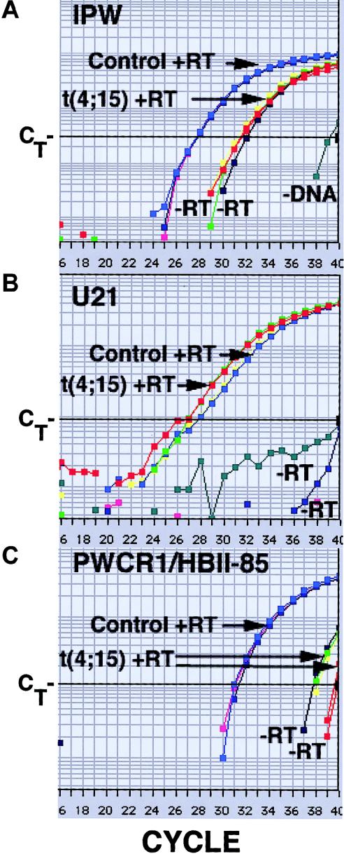 Figure  3