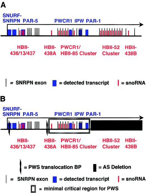 Figure  1