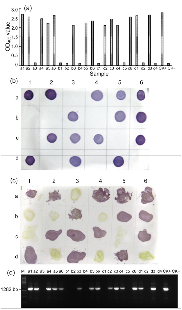 Fig. 8