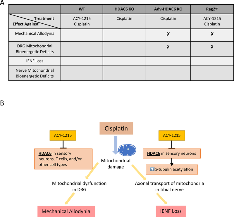 Figure 10.