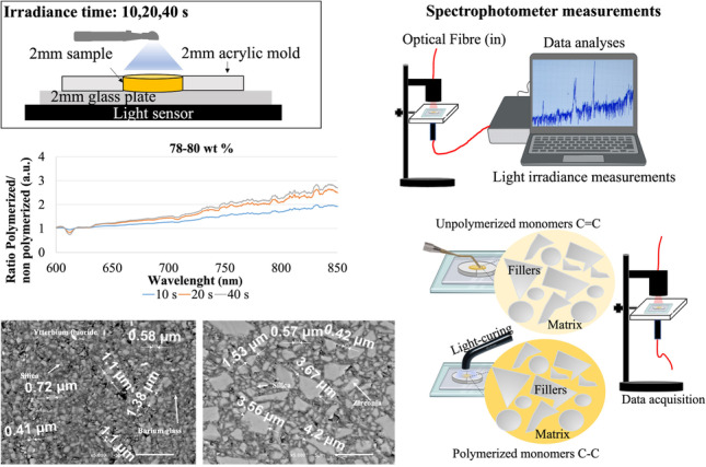 graphic file with name 784_2023_5189_Figa_HTML.jpg