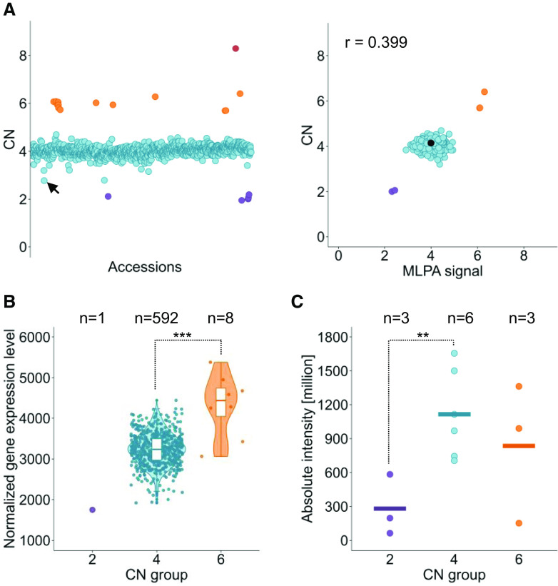 Figure 10.