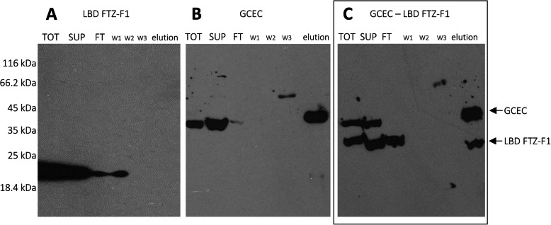 Fig. 9