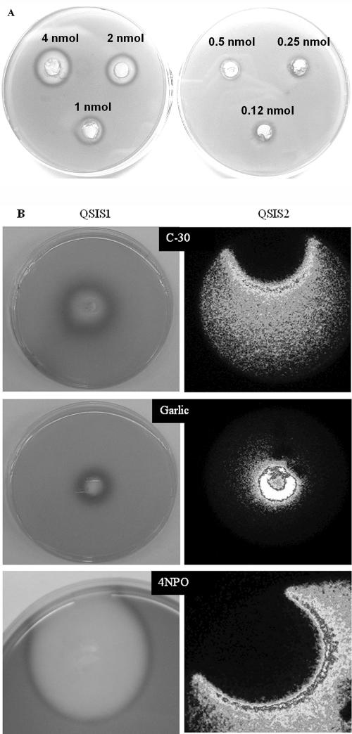 FIG. 2.