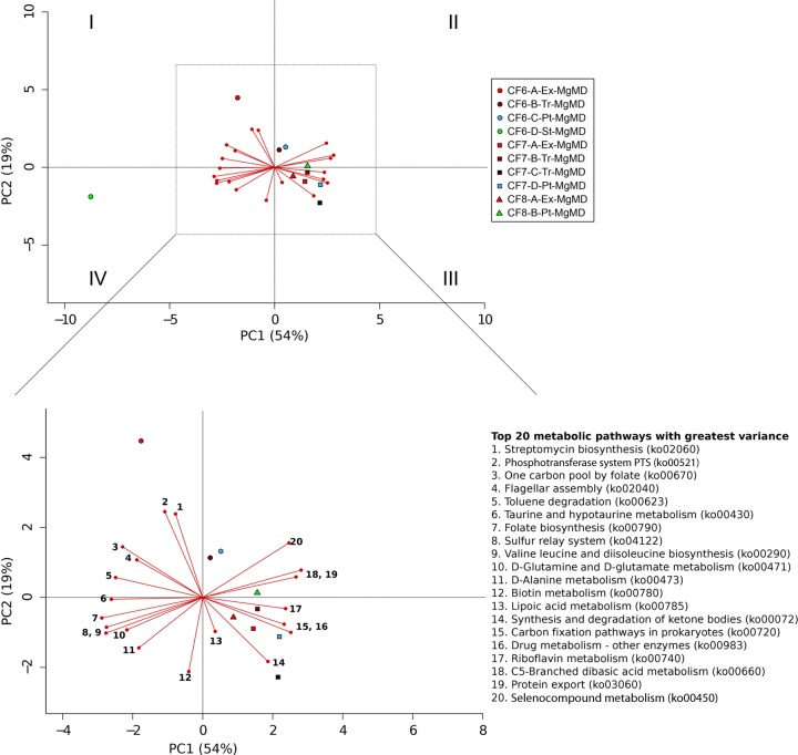 FIG 2