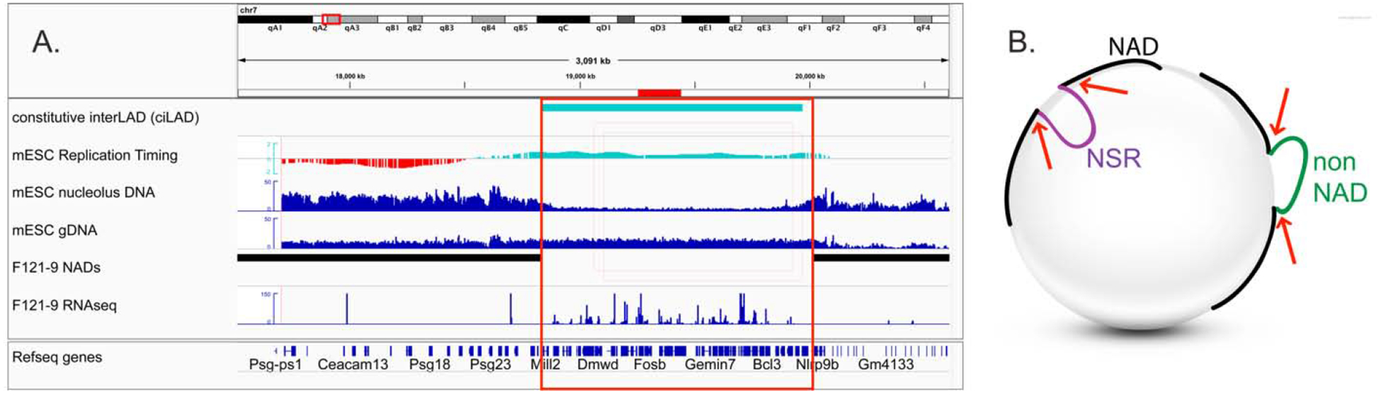 Figure 3: