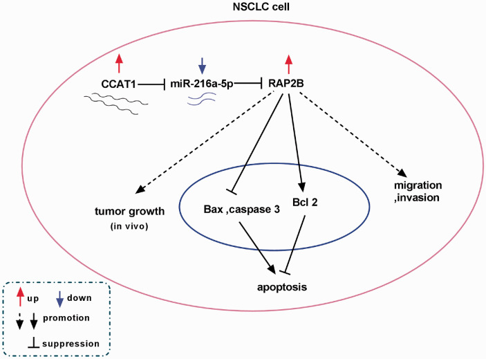 Figure 10.