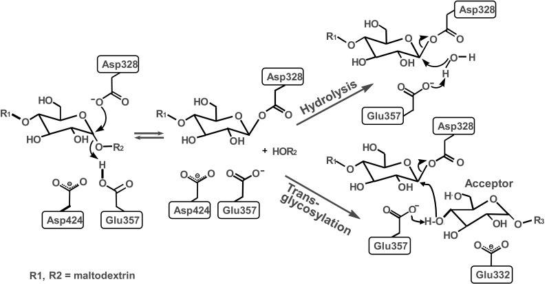 Fig. 3