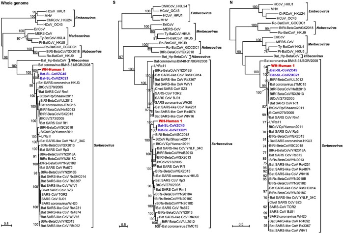 Extended Data Fig. 5