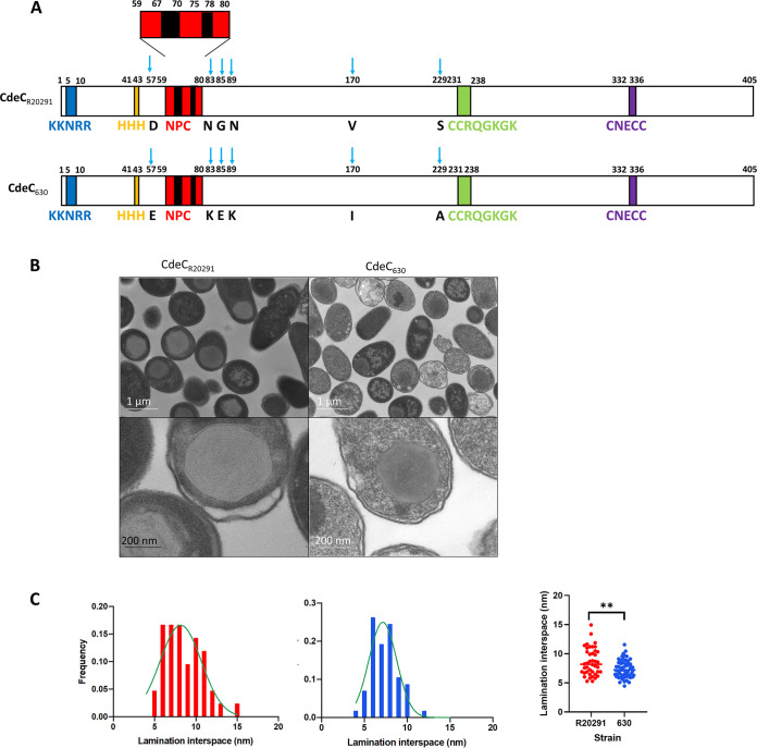 FIG 3