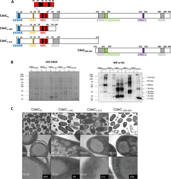 FIG 7