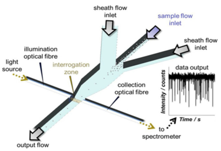 Figure 21