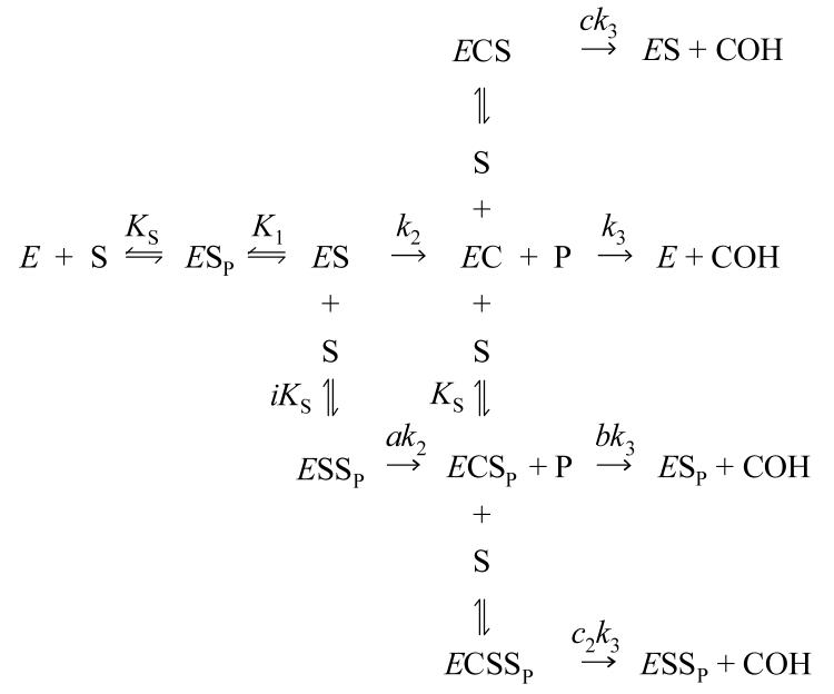 SCHEME 5