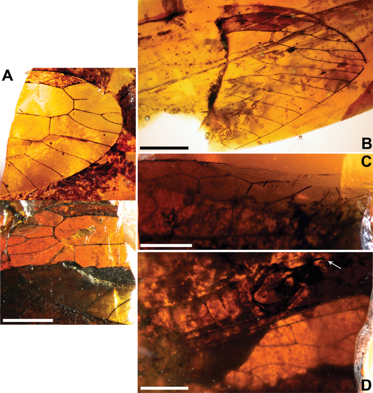 Figure 13.