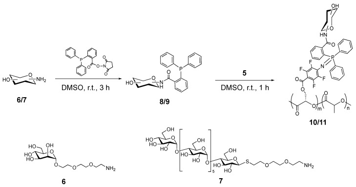 Scheme 3