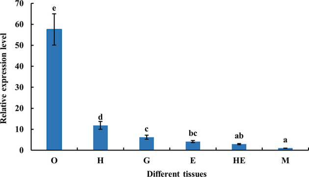 Figure 5