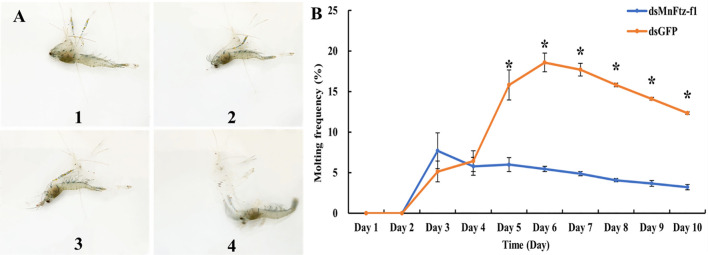 Figure 12
