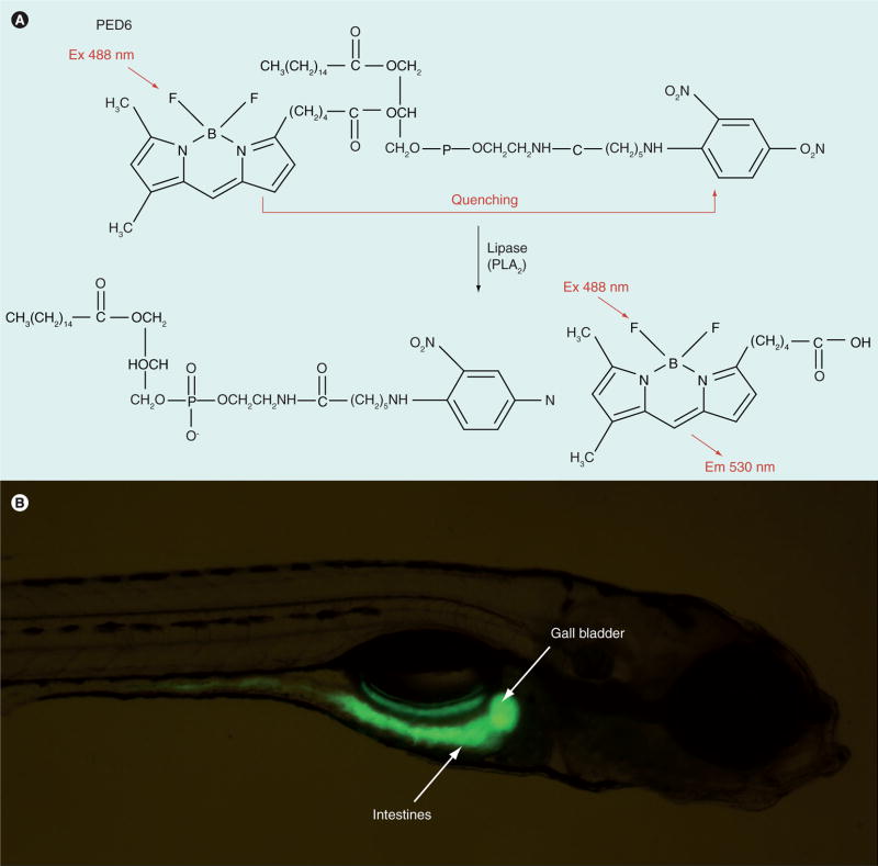 Figure 5