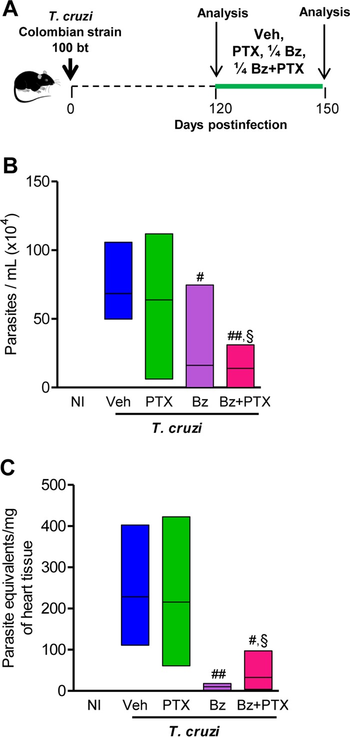 FIG 1