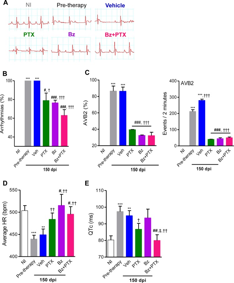 FIG 2