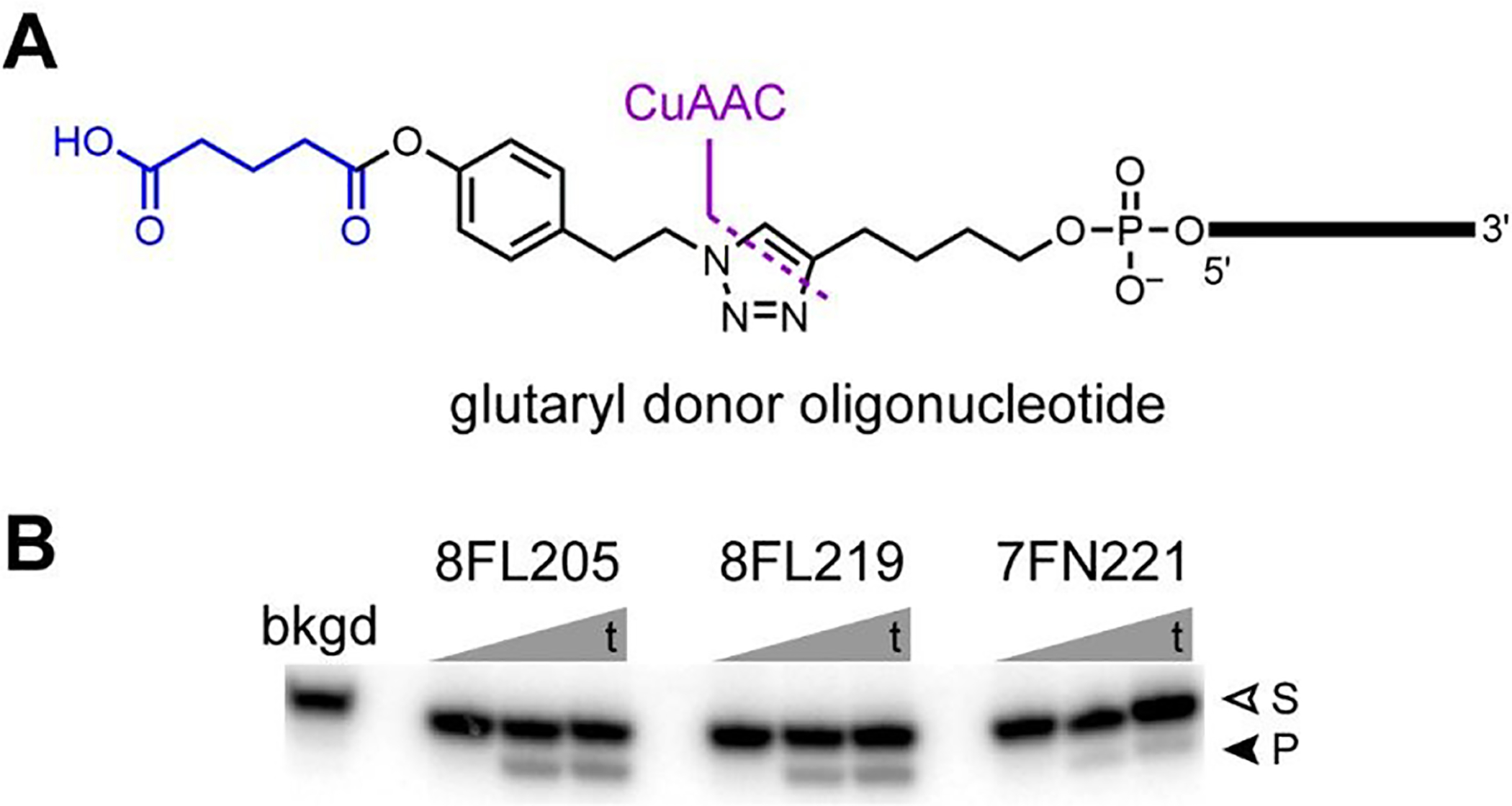 Figure 7.