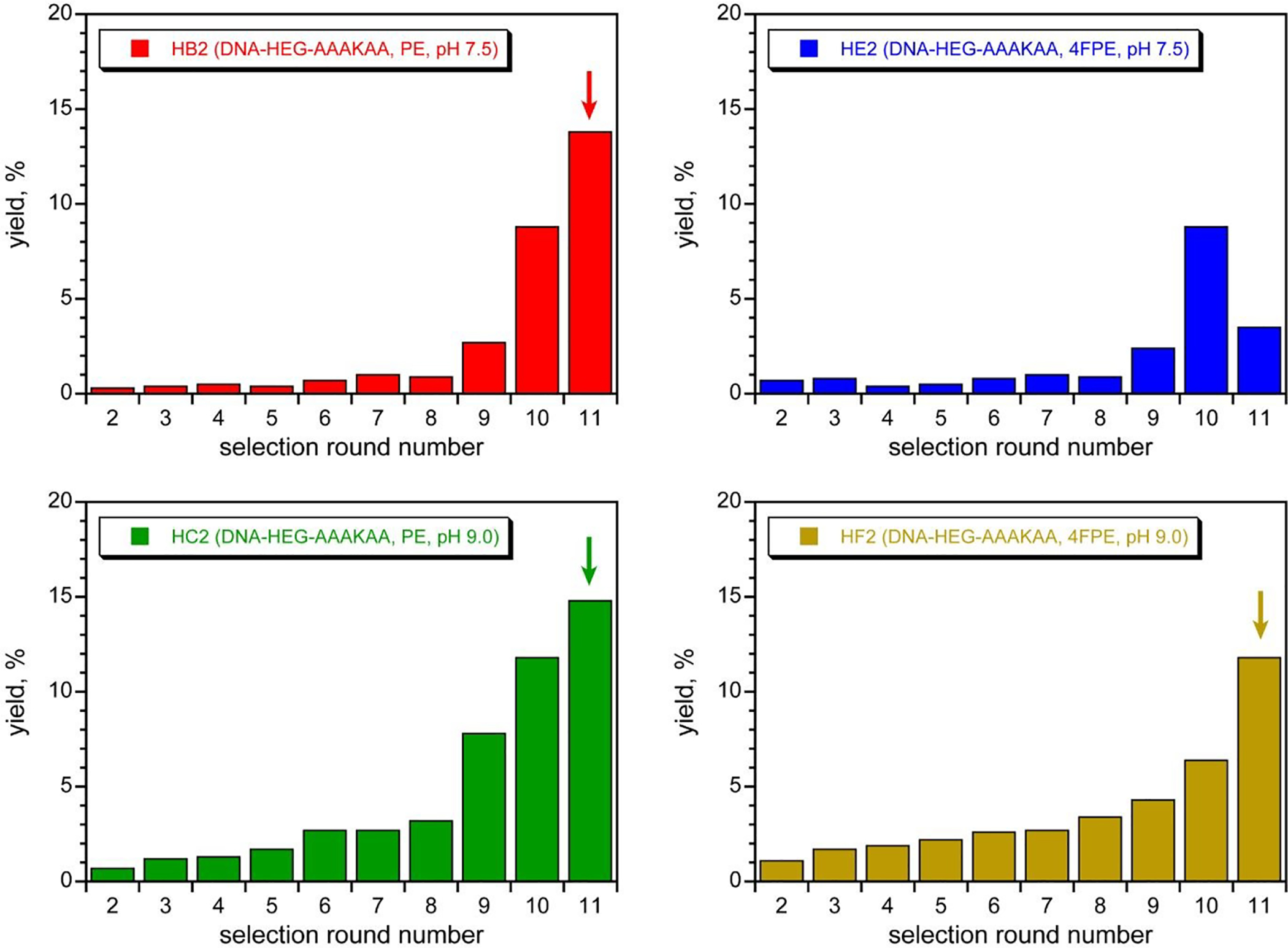 Figure 5.